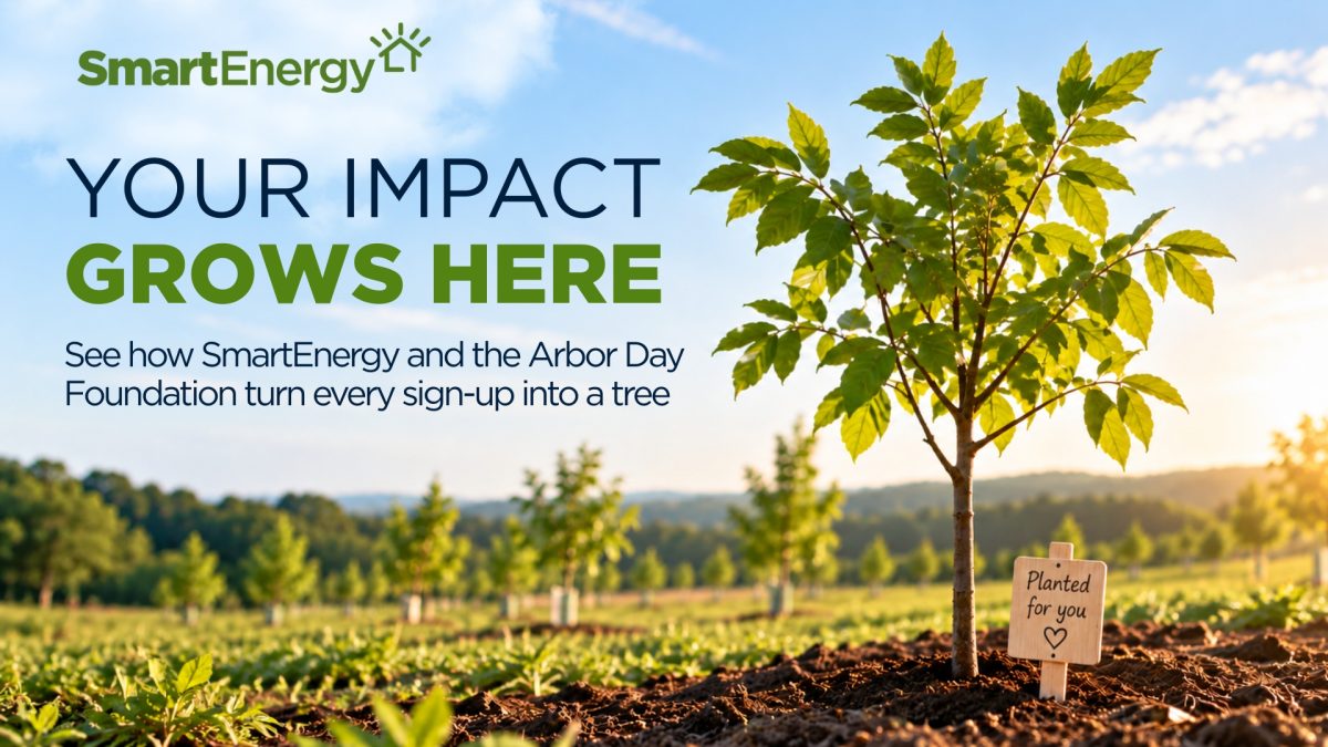 A young tree with a Planted for you sign stands in a sunny field. Text promotes SmartEnergy and Arbor Day Foundation’s program to plant trees for every sign-up, helping grow healthier communities through more trees.
